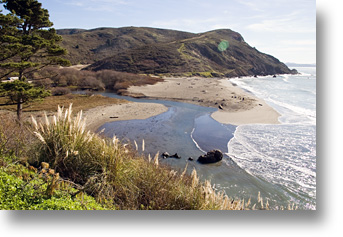 Muir Beach